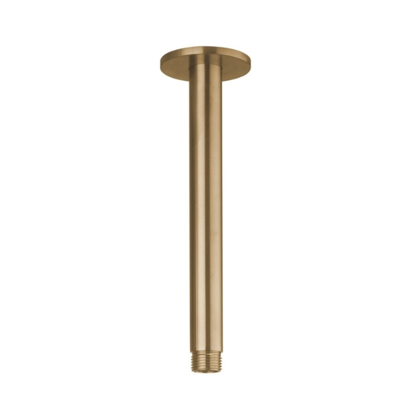 Product Cut out image of the Crosswater 3ONE6 Brushed Brass Ceiling Mounted Shower Arm